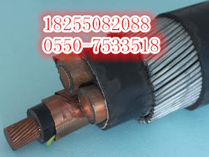 BTTVZ-4*10矿物绝缘耐高温电缆解析 安徽天康集团的产品结构与优势